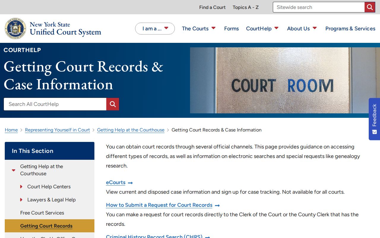 Otsego County criminal court case records access guidance