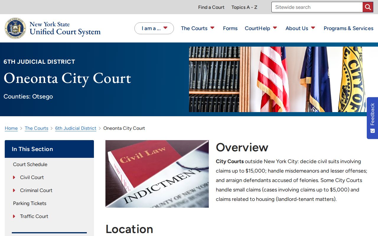 Otsego County criminal court case information for Oneonta City Court