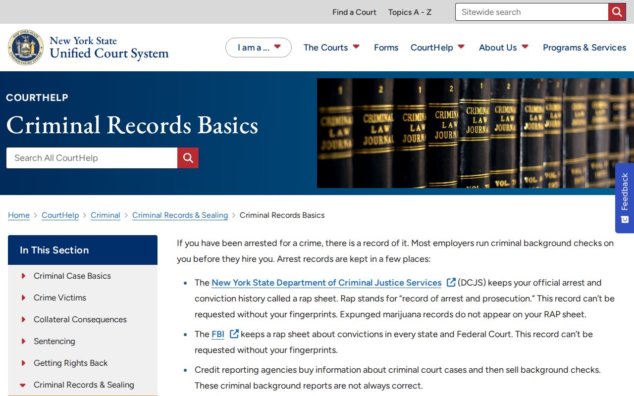 Richfield Springs criminal history New York records basics